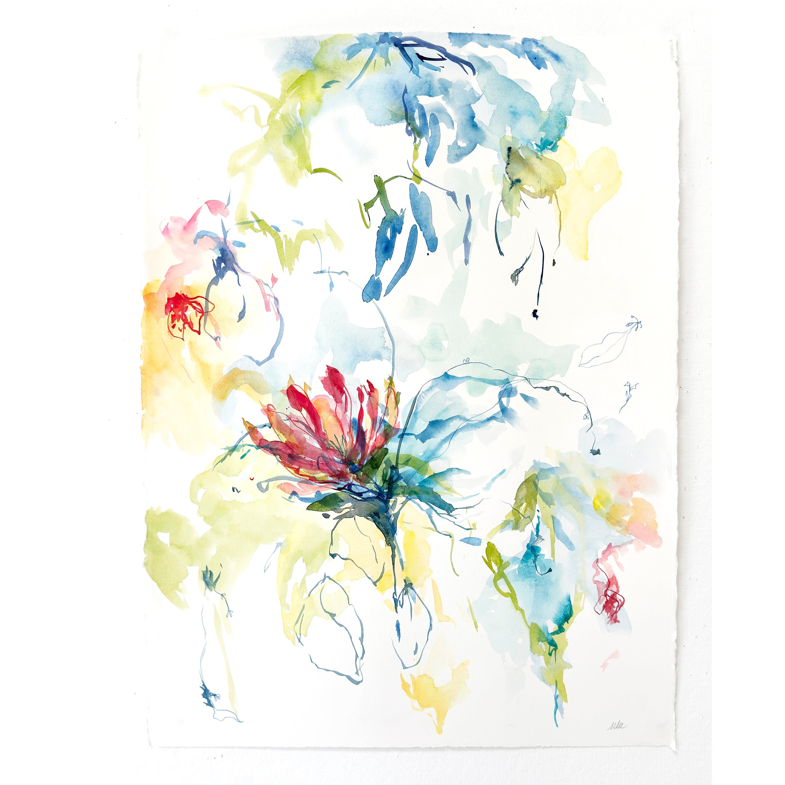 Protea