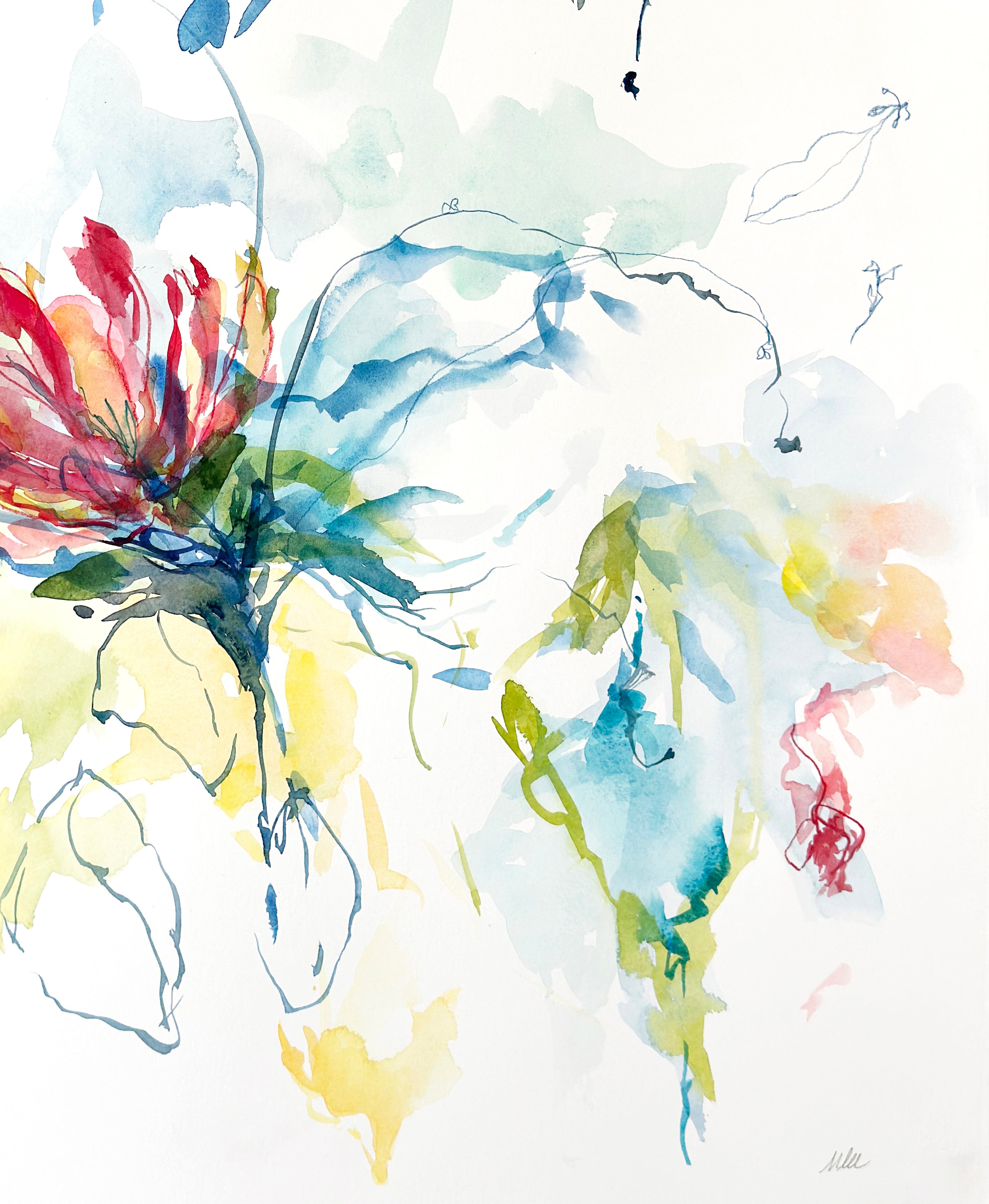 Protea