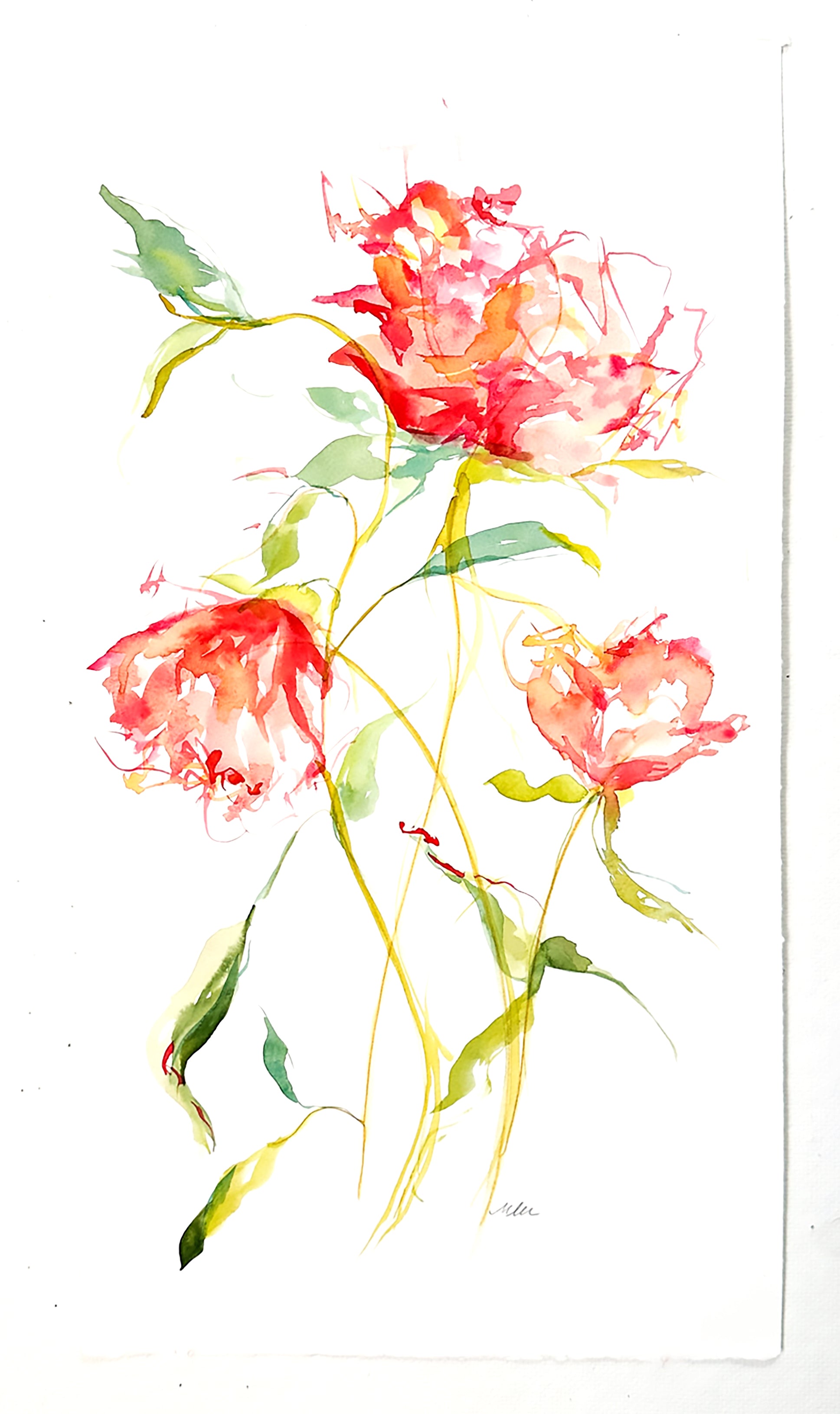 Coming Up Roses